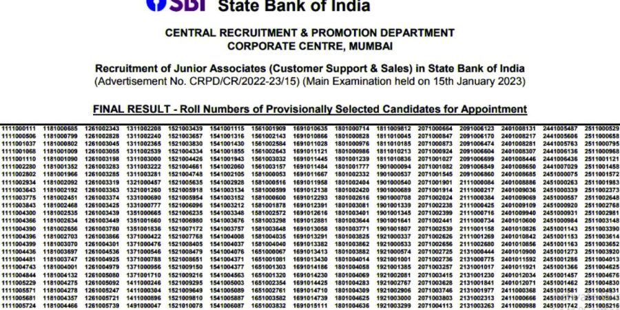 SBI बँक क्लर्क मुख्य परीक्षेचे निकाल जारी, असे चेक करा आपला निकाल